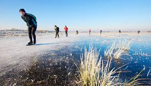 Serve with rice, pasta, or a hearty salad. Elfstedentocht A 200 Kilometer Ice Skating Tour Past 11 Cities Holland Com