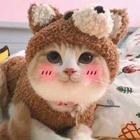 Ace Of Base All She Wants Snbrn Klatch Remix 8d Music By User 940748387 On Soundcloud Cute Cats Cute Cat Memes Cute Cats And Kittens