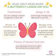 What Is Butterfly Symbolism What Does It Mean When A Butterfly Lands On You Butterfly Symbolism Butterfly Meaning Butterfly Quotes