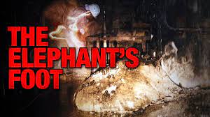 In the bowels of the chernobyl nuclear power plant in ukraine, one of the most dangerous things in the world is hidden. The Elephant S Foot Corpse Of Chernobyl Youtube