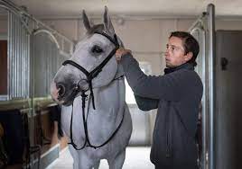 pmid 22394219  growth factors 30(3): Springreiter Und Europameister Martin Fuchs Zeigt Seinen Pferdehof In Wangi Stables More