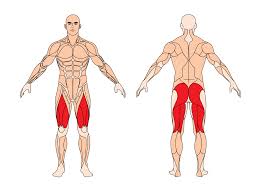 Our instructors demonstrate a jump squat.livestrong woman introduces the livestrong essentials series! Jump Squats Ubung Meinbauch Net