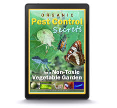 Benefits of organic garden pest control. Organic Pest Control Secrets For A Non Toxic Vegetable Garden Home Grown Fun