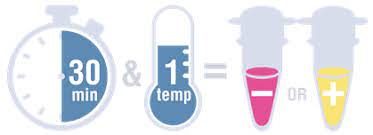 new england biolabs uk ltd sars cov 2 rapid colorimetric lamp assay kit