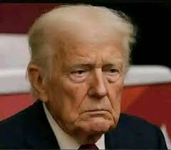 Is there a correlation between "Designated Survivor" and current US  government turmoil?