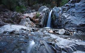 Maybe you would like to learn more about one of these? Spring Creek Trail Outdoor Project