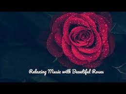 Dd Music Divine Destination Youtube Mom Poems Funeral Poems For Mom Funeral Poems