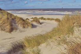 Het landelijk gemiddelde ligt op 281 m² (meer dan 5x zoveel). Ferienwohnung Ferienhaus In Holland Fur Urlaub In Holland Finden