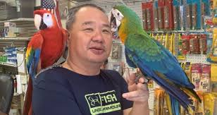 We are a full line pet shop offering you super premium dog food and cat food, including natural and holistic brands. My Heart Got Ripped Out Florida Pet Shop Has 150 Birds Worth 75k Stolen