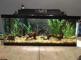 But the question is how to set up a fish tank filter correctly. Tips For Cleaning And Maintaining Your Tank Filter