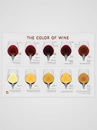 Compare The Different Colors Of Wine With This Unique Chart From Light Bodied Red Wines To Well Aged White Wines This Poste Wine Folly Wine Drinks Wine Chart