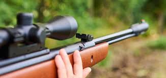 Zeroing a sight or scope means getting the crosshair in position so that when you shoot. What Distance To Zero Air Rifle Scope 2021