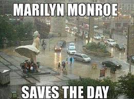 100 Funny Rain Quotes Sayings Jokes And Memes Please don't forget to share these quotes. 100 funny rain quotes sayings jokes
