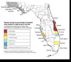 Efforts Seek To Saving Manatees From Red Tide South