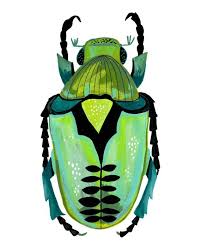 Insect Print Kids Room Decor Nursery Wall Art Bug Etsy Insect Print Art Wall Kids Insect Art