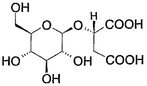Image result for Synadenium pereskiifolium