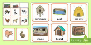 In spanish, the rainforest is 'la selva'. Farm Animals And Their Homes Matching Game Teacher Made