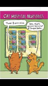 Cat Hospital Nurseries Cats Cat Funny Cartoons Cartoon Celebrate Mom Funny Mother Cats