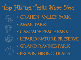 Profile for Marcus Fairfield Agency