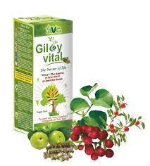 Avg Giloy Vital Best Giloy Juice For Dengue And Chikungunya Health Everyday