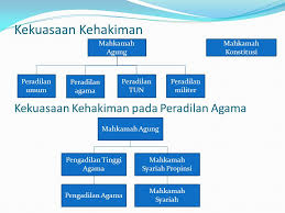 Peranan dan kelayakan hakim dan peguam syari'e; Hierarki Mahkamah