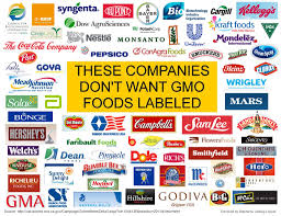 Clean Eating Mind Body And Soul Gmo Labeling Gmo Foods Company Meals