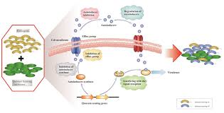 Marine Drugs Free Full Text Quorum Sensing Inhibitors From Marine Microorganisms And Their Synthetic Derivatives Html