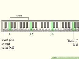 6 Easy Ways To Find Your Vocal Range With Pictures