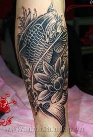 Hình xăm cá rồng không những giúp mang lại sự giàu sang, phú quý. Nhá»¯ng Y NghÄ©a Ä'áº±ng Sau Bi áº©n Má»™t Con Ca Chep Nen Tim Hiá»ƒu TrÆ°á»›c Khi XÄƒm