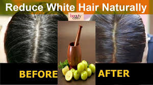 Overall, it is a methodical procedure for holistic treatment of premature greying hair. Amla Home Remedy For White Hair And Gray Hair Treatment In Hindi Youtube