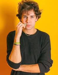 2,700 likes · 214 talking about this. David Dobrik Bio Net Worth Wife Dating Girlfriend Ethnicity Age Birthday Parents Facts Wiki Family Height Siblings Nationality Race Gossip Gist