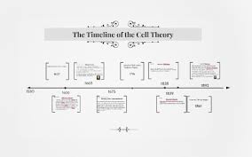 Check spelling or type a new query. Cell Theory Timeline 1550 1900 By Garrett Brown