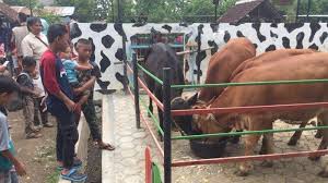 Gajahmungkur plgi paralayang 0.3 km. Libur Nataru Wisata Rodjo Tani Ternak Di Kab Tegal Ini Ramai Pengunjung Intip Wahananya Yuk Halaman All Tribun Jateng