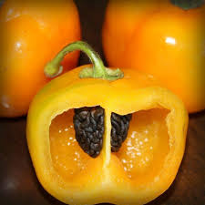 Manzano Manzana Cayenne Diane Stuffed Hot Peppers Stuffed Peppers Heirloom Seeds