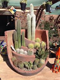The cactus is a large plant found spawning all over the desert. 40 Pretty Cactus Garden Ideas For Best Garden Inspirations Broken Pot Garden Cactus Garden Amazing Gardens