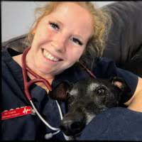 8 "Dr Macrae" profiles