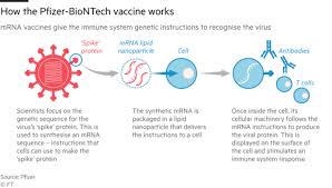 We did not find results for: Inside The Hunt For A Covid 19 Vaccine How Biontech Made The Breakthrough Financial Times