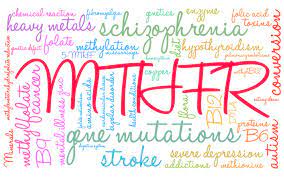 Mthfr
