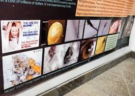 The cape fear serpentarium is a small reptile zoo in downtown wilmington, nc. 3 Venoms And 2 Tainted Weddings Tragedy Strikes Downtown Wilmington Nc Steemit
