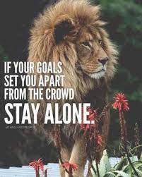 Pin On Inspirational And Motivational Quotes