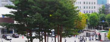 서울 종로구 수송동 5번지 동일빌딩 901호 우편번호: 50ìµ í¡ë ¹ íë¬¸ê³  ìì¨ê³  ì§ì  ì·¨ì ìì¬ì ë