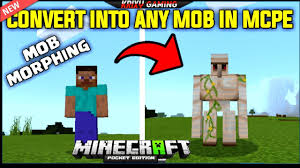 Free purchase how to install. New Morph Mod For Minecraft Pe For Android 2020 New Mods Youtube