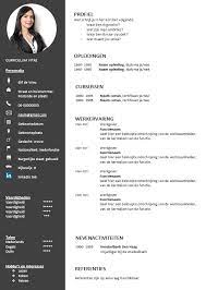 Pin On Cv Voorbeelden
