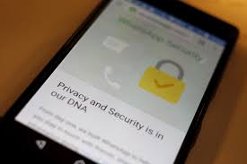 We are communicating directly with users through whatsapp about these. Whatsapp Brexit Forex Cartel Business News In Brief Wednesday 11 January The Independent The Independent