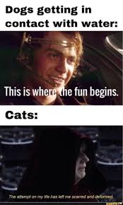 Pin By You Re Stuck With Me Skyguy On Star Wars In 2021