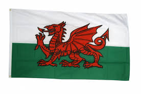 History and meaning of the red dragon. Flagge Fahne Wales Gunstig Kaufen Flaggenfritze De