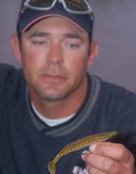 What the buzz is all about