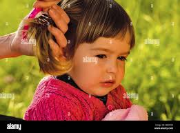 Daughter combs hair hi-res stock photography and images