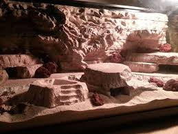 Naturalistic Vivarium Theme Leopard Gecko Bearded Dragon Reptile Enclosure Bearded Dragon Bearded Dragon Terrarium Ideas Bearded Dragon Care