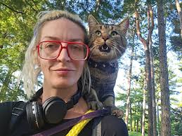 Dumped Dogs in Grey/Bruce Area Need Rescue